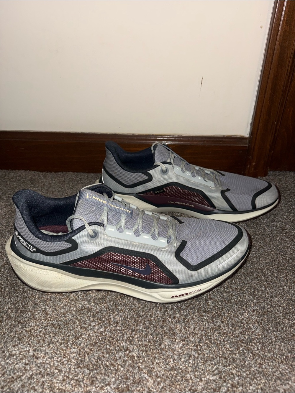 Men's Nike Pegasus 41 Gore-Tex Shoes